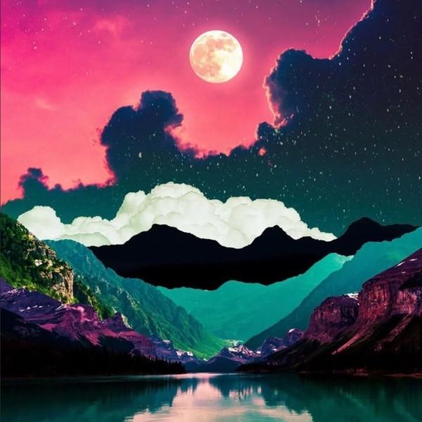 爱吃叶子的毛毛虫