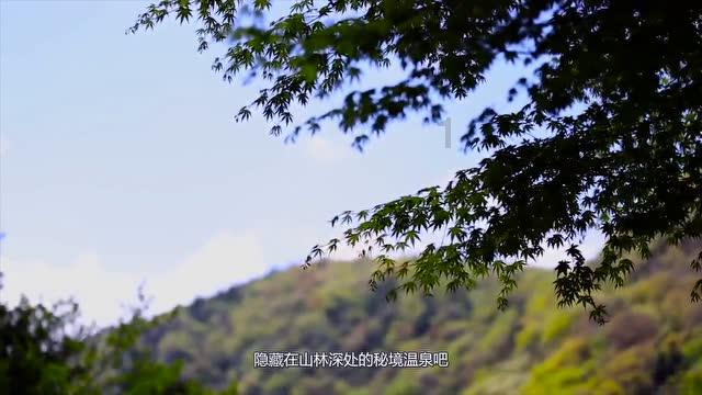 全省文联系统文艺志愿服务活动在阜启动