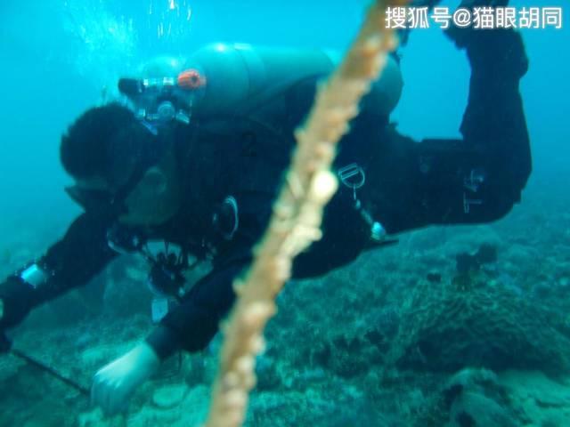 30年过去了，《笑傲江湖2：东方不败》为何至今无人超越？游戏画面