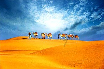 秦琼病了12年，李世民派人为其治病，太医刚走，秦琼：把药倒掉