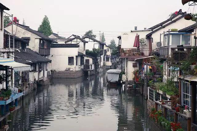 植物大战僵尸7