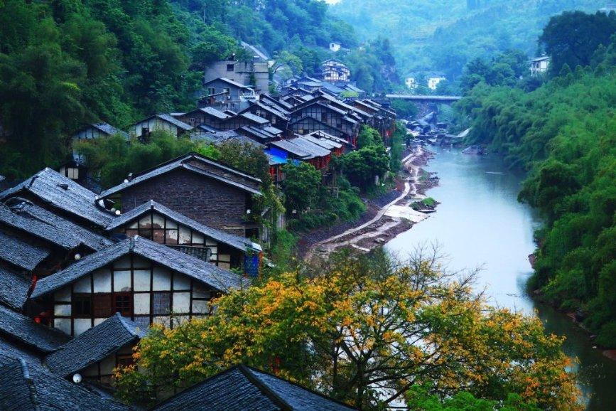 奥日与黑暗森林